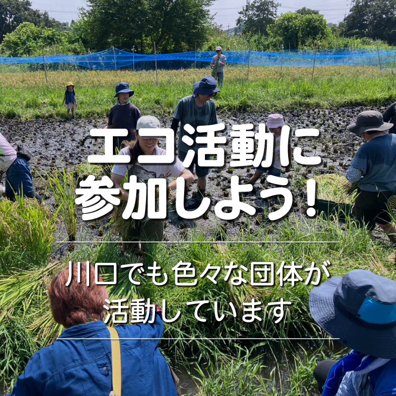 『エコ活動に参加しよう！』川口でも色々な団体が活動しています